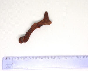 Skorodowany fragment ostrogi, brak jednej strony