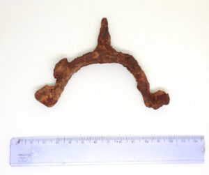 Ostroga z naroślem rdzy z lewej strony