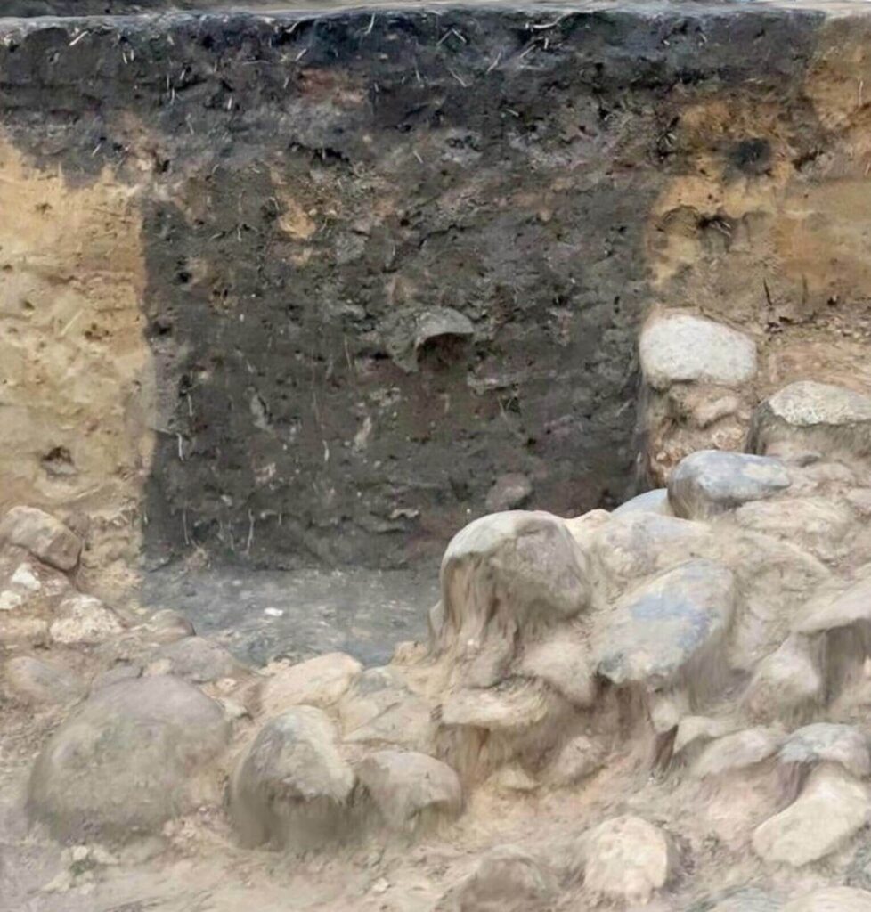 Profil obiektu, gdzie brązowa warstwa jamy odcina się pionowo w dół od jasnego piasku wokół, z przodu widoczne kamienie dalszego obiektu