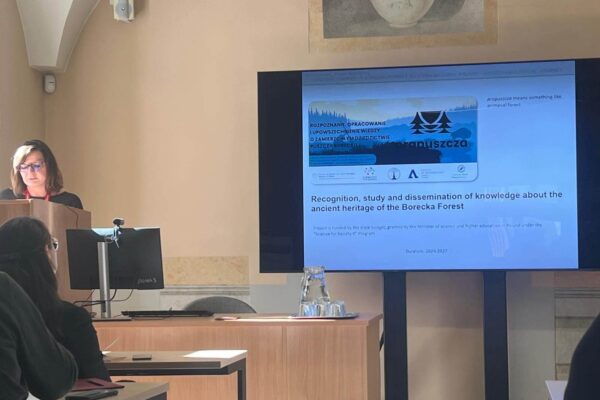 2_Easy-Resize.com 2_Easy-Resize.com