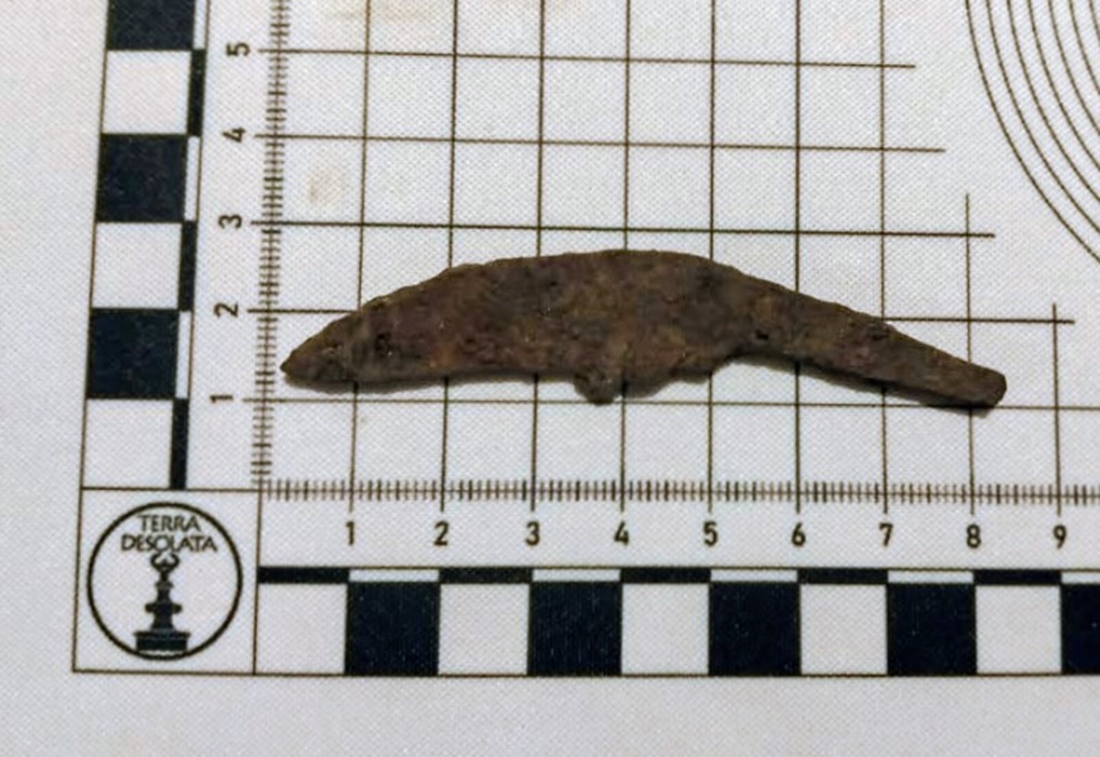 Mały lekko wygięty nóż leży na podkładce