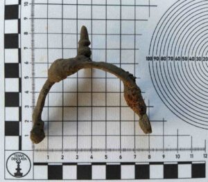 Mocno skorodowana ostroga leży na podkładce z miarką, ma z lewej strony narośl rdzy