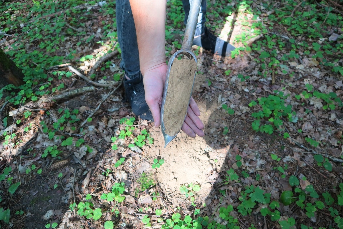 Zbliżenie na sondę z próbka gleby.