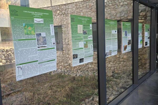 e_Easy-Resize.com Widok na szybę z naklejonymi na nią posterami.