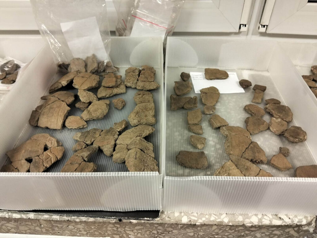 W pojemnikach leżą posegregowane fragmenty naczyń