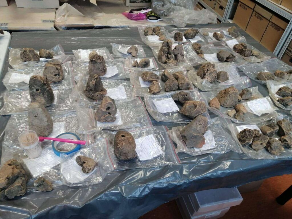 Duża grupa ciężarków stoi ułożona na stole w pracowni.