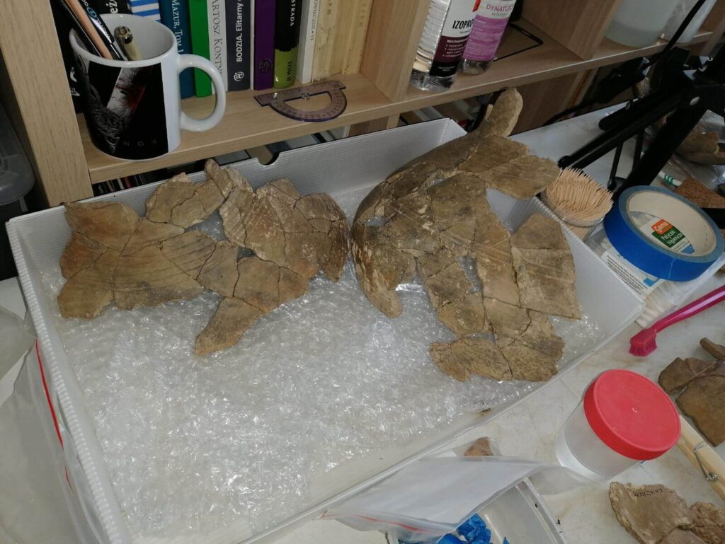 Sklejone fragmenty naczyń stoją w pojemniku ustabilizowane folią bąbelkową