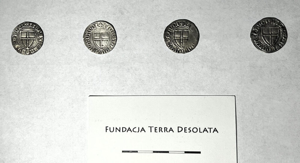 Zbiorcze zdjęcie rewersów: cztery monety leżą obok siebie, pod nimi skala