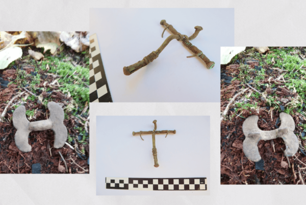 Kolaż ze zdjęć zapinek