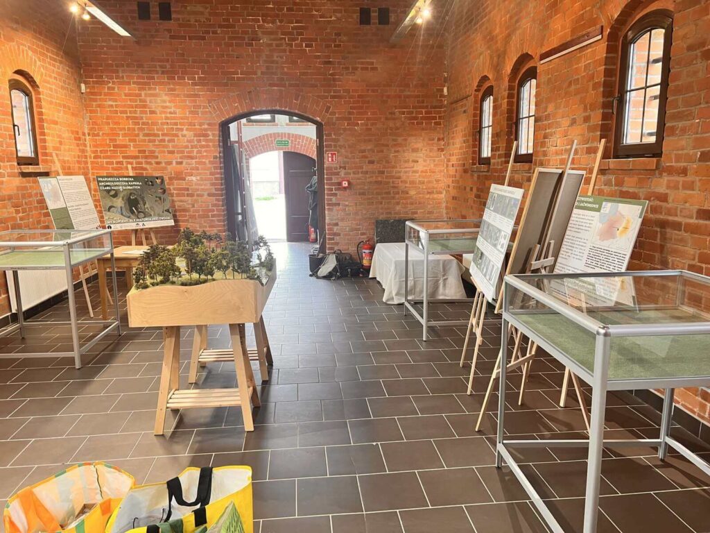 Widok na przygotowaną wystawę.