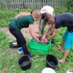 Trzy osoby pochylają się nad urządzeniem do flotacji w trakcie pracy