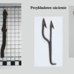 Grafika z trzech zdjęć. Pierwsze to odkryty ząb ościenia (żelazny pręt z zadziorem), dwa pozostałe to zabytki z muzeów, czyli całe ościenie z dwoma zębami i z siedmioma. Wyglądają jak widły.