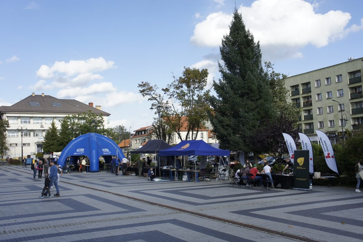 Widok na część placu. Pod namiotami i na innych stoiskach trwają warsztaty.